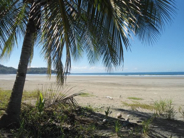 Costa Rica Real Estate - Puriscal